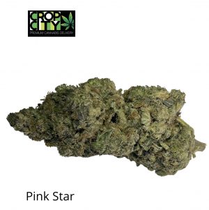 Pink Star (Indica) AAAA 🔥🔥