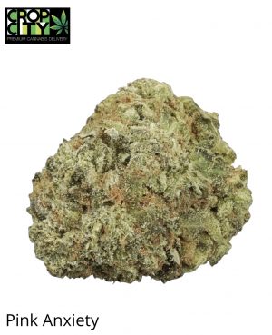 Pink Anxiety (New) (Indica)