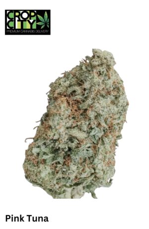 Pink Tuna (Indica) AAAA 🔥🔥