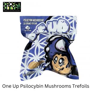 TREFOILS MUSHROOM EDIBLES (3.5G)