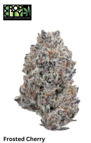 Frosted Cherry (Hybrid) AAAA+ 🔥🔥