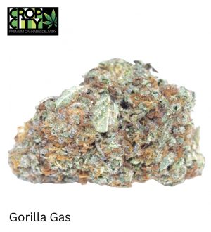 Gorilla Gas (Hybrid) AAAA+ (NEW)🔥🔥