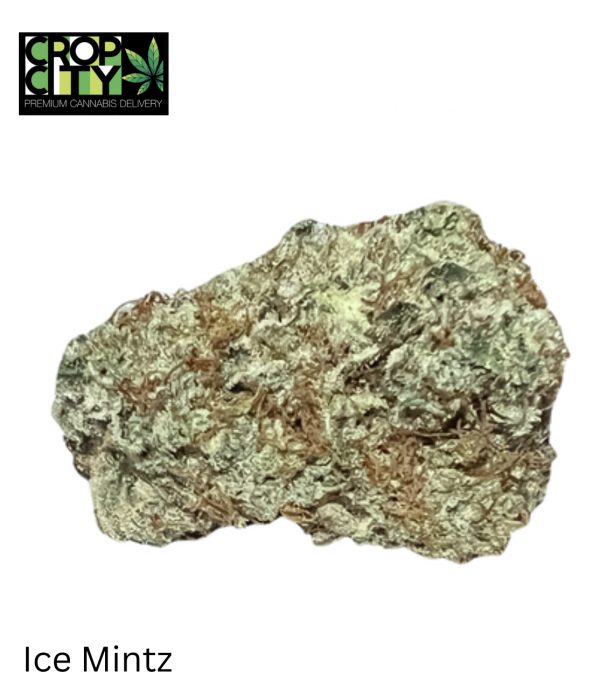 Ice Mintz (Indica) AAAA+ 🔥🔥