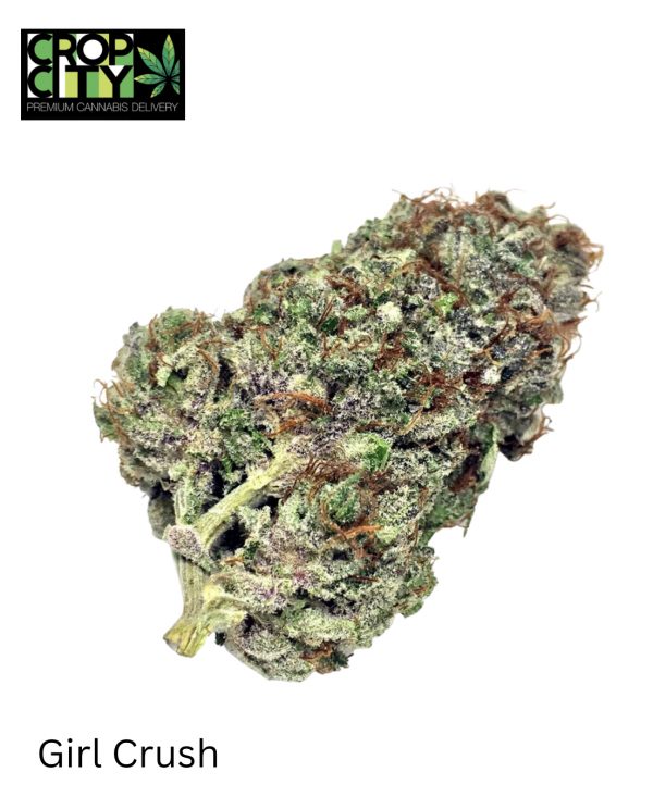 Girl Crush (Indica) AAAA+ 🔥🔥