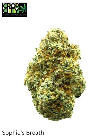 Sophie's Breath (Sativa Dominant Hybrid) AAAA+ 🔥🔥 (NEW)