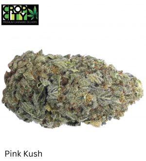 Pink Kush (Indica) AAAA+ 🔥🔥 (NEW)