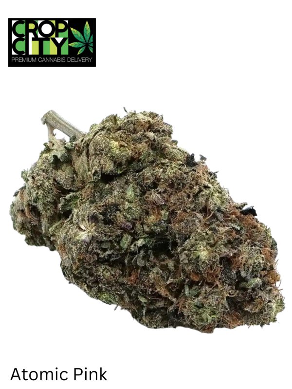 Atomic Pink (Indica) AAAA 🔥🔥