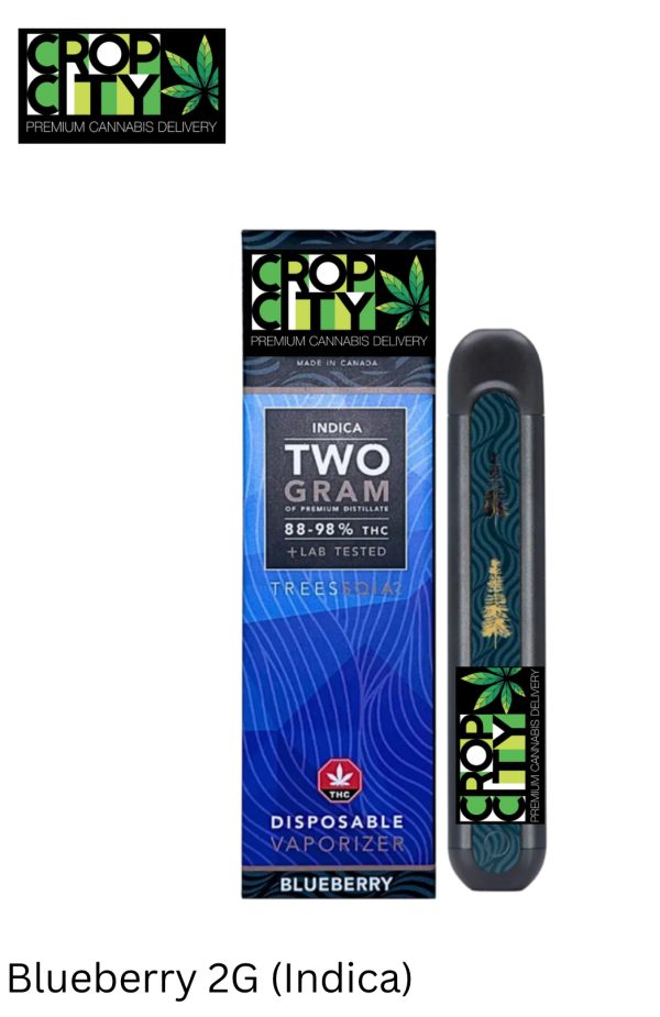 Blueberry 2G (Indica)