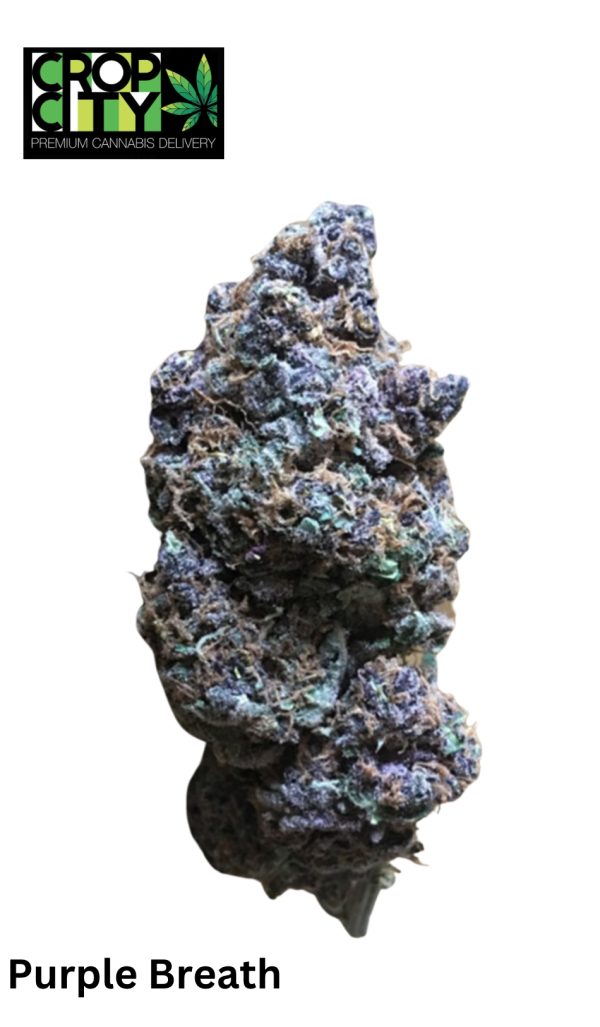 Purple Breath (Indica) AAAA+ 🔥🔥