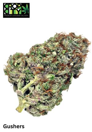 Gushers (Indica) AAAA+ 🔥🔥 (NEW)