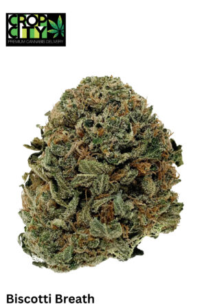 Biscotti Breath (Indica) AAAA+ 🔥🔥