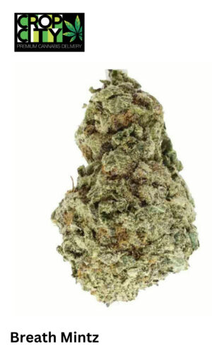 Breath Mintz (Indica) AAAA+ 🔥🔥