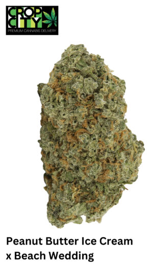 Peanut Butter Ice Cream x Beach Wedding (Indica) AAAA+ 🔥🔥