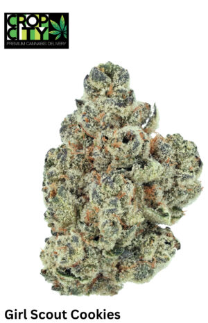 Girl Scout Cookies (Indica Dominant Hybrid) AAAA+ 🔥🔥