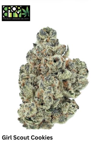 Girl Scout Cookies (Indica Dominant Hybrid) AAAA+ 🔥🔥