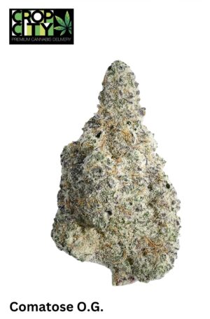 Comatose O.G. (Indica) AAAA+ 🔥🔥