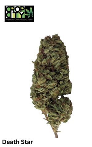 Death Star (Indica) (NEW)