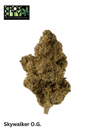 Skywalker (Hybrid) AA