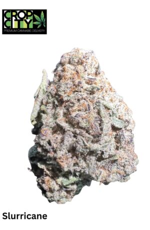 Slurricane (Indica Dominant Hybrid) AAAA+ 🔥🔥 (NEW)