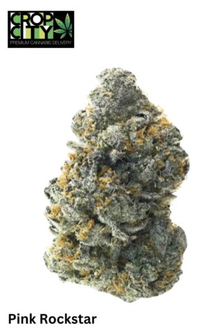 Pink Rockstar (Indica) AAAA+ 🔥🔥