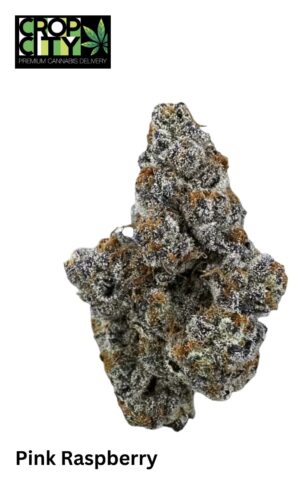 Pink Raspberry (Indica) AAAA+ 🔥🔥