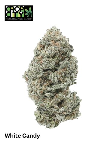 White Candy (Indica) AAAA+ 🔥🔥