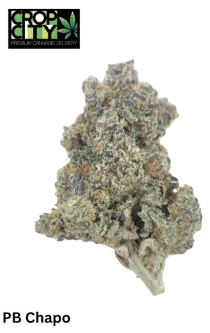 PB Chapo (Indica Dominant) AAAA+ 🔥🔥