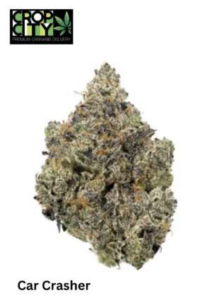 Car Crasher (Indica) AAAA+ 🔥🔥