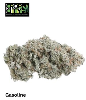 Gasoline (Indica) AAAA+ 🔥🔥